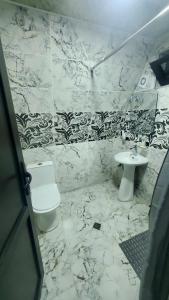 a bathroom with a toilet and a sink at Cottage Naiosi in Pshavi 