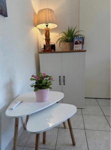 a table with a potted plant on top of it at L'ALOUETTE maison 4/5pers PISCINE/MER Cabourg à pied in Dives-sur-Mer +27 photos