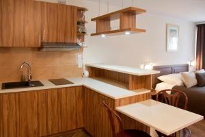 Kuchnia lub aneks kuchenny w obiekcie Apartamenty Hotelu Pod Orłem