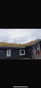 a black house with a grass roof with two windows at Hytte hafjell mosetertoppen in Øyer