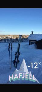 a pair of skis and ski poles in the snow at Hytte hafjell mosetertoppen in Øyer