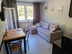 a living room with a couch and a table at Mario Leśny Klif 21 in Debina +21 photos