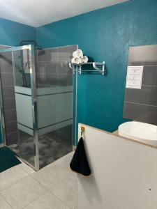 a bathroom with a glass shower and a toilet at L'ile aux couleurs in Les Abymes