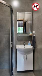 a bathroom with a sink and a mirror and a shower at Vila RUNA in Plateliai