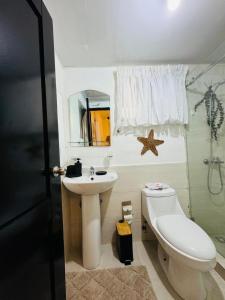 a bathroom with a sink and a toilet and a mirror at Luxurious and comfortable 1 level in Ensanche Savica de Mendoza
