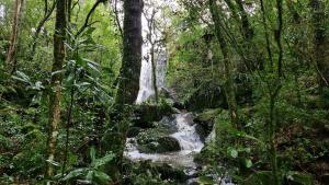 a waterfall in the middle of a forest at Lacaune Haus in São Francisco de Paula