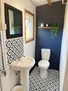 a bathroom with a white toilet and a sink at Walland Cottage Romney Retreat in Old Romney