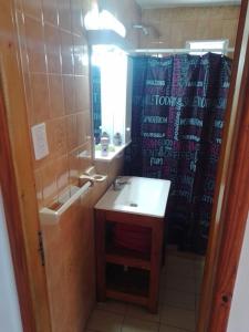 a bathroom with a sink and a shower with a mirror at Departamento para 5 personas en Mar De Ajó in Mar de Ajó