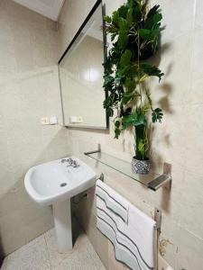 een badkamer met een wastafel, een spiegel en een plant bij Sun & Salt Lo Pagan in San Pedro del Pinatar