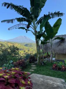 SapitLaa Cabana Lombok Glamping的棕榈树,山底下