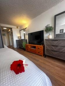 Un dormitorio con una cama y un televisor de pantalla plana. en Studio for 4 people with Pool Jacuzzi Sauna BBQ, en Honolulu