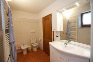 スティーアにあるLa Fagiana - Orchidea 11のバスルーム(洗面台、トイレ、鏡付)