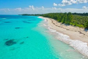 eine Luftansicht auf einen Strand im Meer in der Unterkunft Simple Life Cottage cottage in Governors Harbour