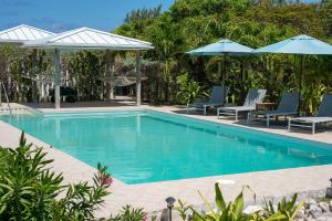 Savannah SoundUtopia House home的配有蓝色椅子和遮阳伞的游泳池