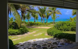 a view from a window of a beach with palm trees at Alfred House home in Governorʼs Harbour +32 photos