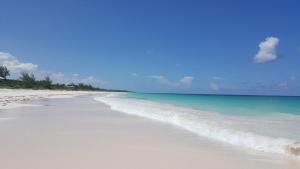 a beach with the ocean and a blue sky at Halcyon House home in Savannah Sound