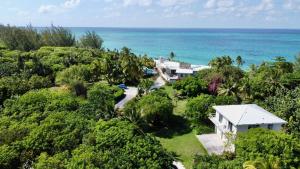 - une vue aérienne sur une maison et l'océan dans l'établissement Trident Cottage cottage, à Palmetto Point
