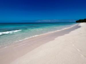 une plage de sable avec l'océan en arrière-plan dans l'établissement Trident Cottage cottage, à Palmetto Point