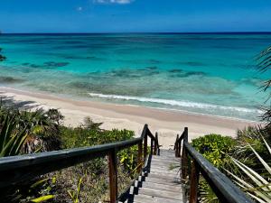 un escalier en bois menant à une plage avec l'océan dans l'établissement Trident Cottage cottage, à Palmetto Point