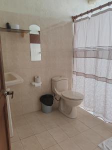 a bathroom with a toilet and a sink at Lodge Lake Arenal in Tilarán