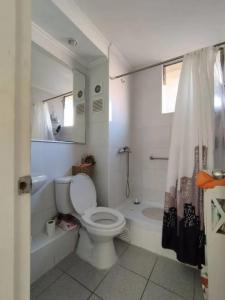 a white bathroom with a toilet and a shower at Departamento Amoblado in Santiago