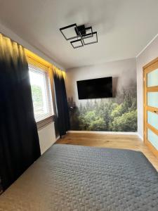 Televisyen dan/atau pusat hiburan di Paprykowa Apartament