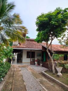 una casa con una palmera delante en Pousada Tendawa, en Santarém