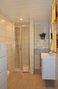 La salle de bains est pourvue d'une douche et d'un lavabo. dans l'établissement Frühstückpension Larson, à Bad Hofgastein