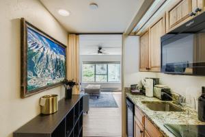 Η κουζίνα ή μικρή κουζίνα στο Ski In Ski Out Dog Friendly Studio Building 4