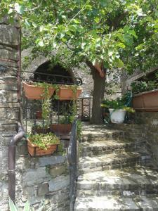 een stenen trap met potplanten en een boom bij La Vecchia Casa in San Mauro Cilento