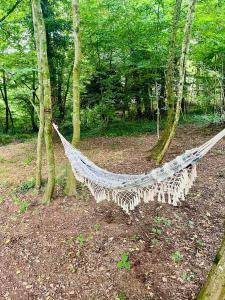 a hammock in the middle of a forest at La noisette in Florennes
