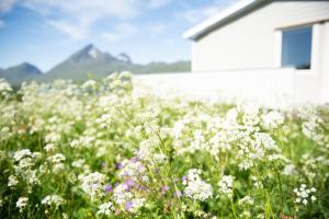 Φωτογραφία από το άλμπουμ του Frittliggende hjem med nydelig utsikt σε Vestvågøya