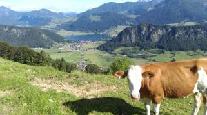 Zdjęcie z galerii obiektu Welzenhof w mieście Walchsee
