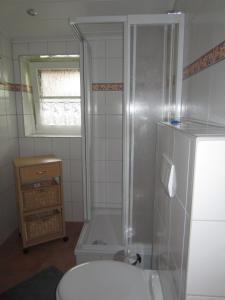 a bathroom with a shower and a toilet and a sink at Haus Hugo in Zingst +30 photos