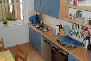 a kitchen with blue cabinets and a sink at Ferienwohnung_Beethovenstrasse in Westerstede