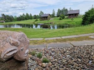 a rock garden in front of a pond with houses at VIP forest dreams villa 2 in Leliūnai +10 photos