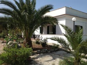 een wit huis met een palmboom ervoor bij Appartamenti Fra Stefano in Peschici