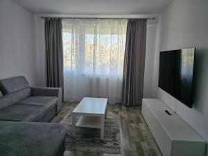 Μια τηλεόραση ή/και κέντρο ψυχαγωγίας στο Best Apartament Central 2