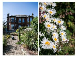 two pictures of a house with white flowers in front at Luxury Architect Designed House in Dublin