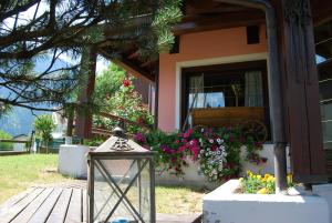 Κήπος έξω από το Hotel Quadrifoglio