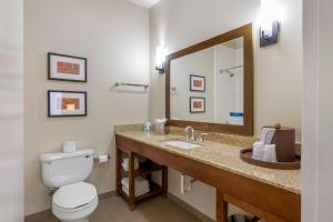 a bathroom with a toilet and a sink with a mirror at Comfort Inn Memphis Downtown in Memphis +36 photos
