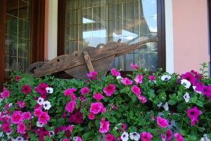 Κήπος έξω από το Hotel Quadrifoglio