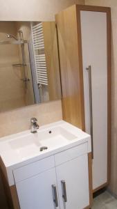 a bathroom with a white sink and a mirror at paNOORama appartementen in Noorbeek