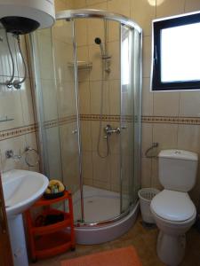 a bathroom with a shower and a toilet and a sink at Apartments Ilinka in Budva