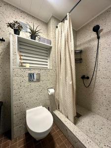 a bathroom with a toilet and a shower at Good energy and comfortable bed! in Jõhvi