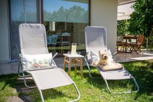 a dog sitting in two chairs in the grass at Apartment Alba with garden in Piran