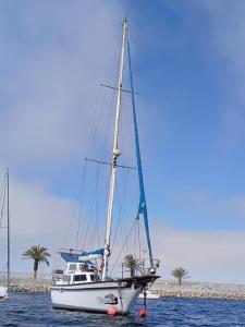 Naturlandskabet i nærheden af båden