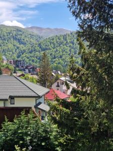 Galería fotográfica de Casa Katalina 2 en Buşteni 22 fotos más