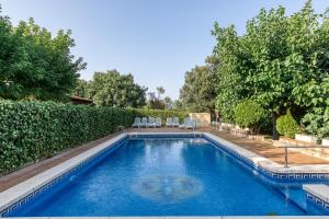 a swimming pool in a yard with chairs and trees at Masia Mas Tibau in Girona