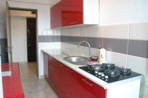a kitchen with a stove and a sink at Ultracentral apartament Bacau in Bacău